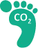 Carbon footprint